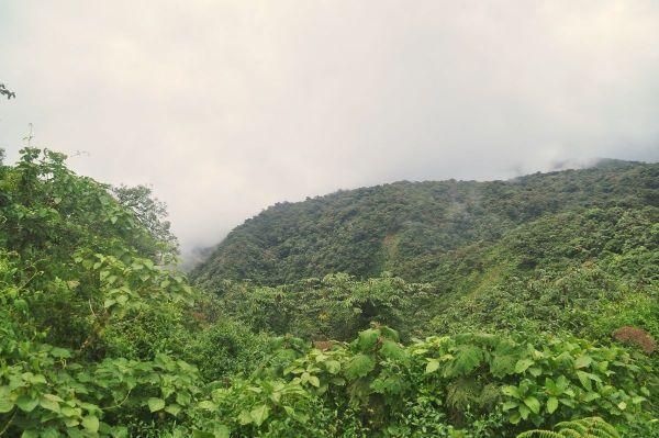 Photos: Monte Verde Cloud Forest, Costa Rica (2022)