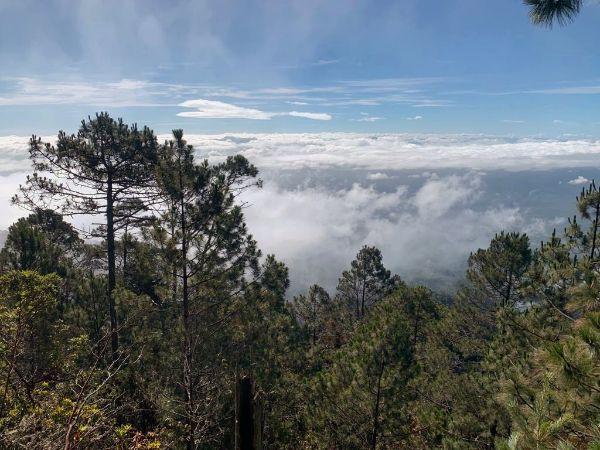 Celaque National Park: Trekking the Highest Mountain of Honduras