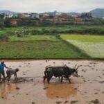 Photos: Ambositra, Madagascar (2023)