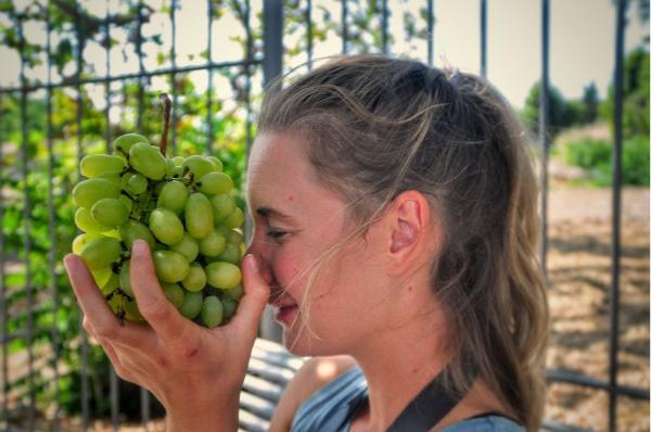 girl portrait with grapes in greece