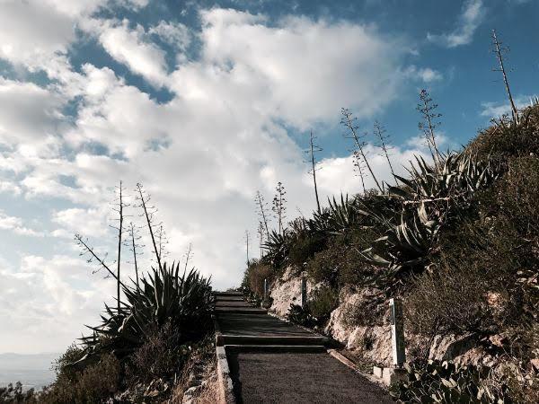 The main path to Lycabettus’s top amid agave trees