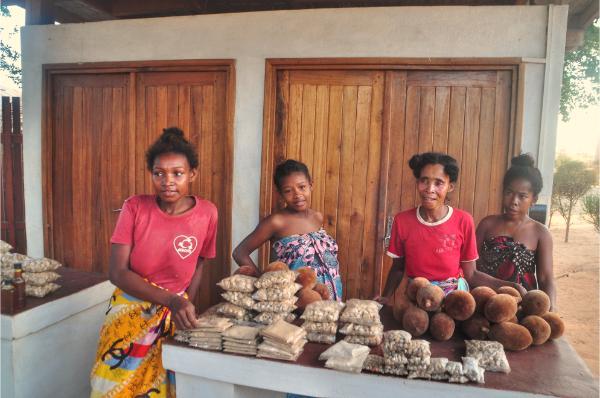 malagasy women selling baobab nuts at the avenue of baobabs
