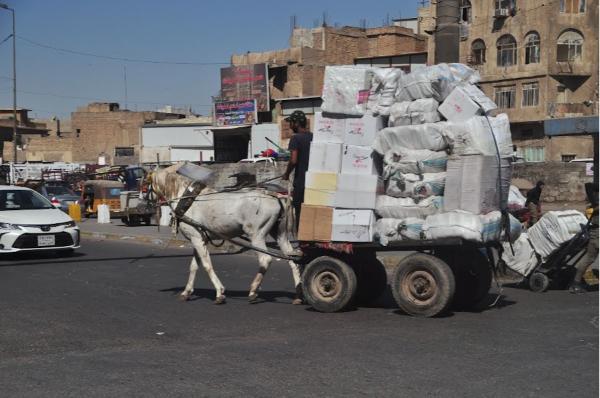 White horse pulling overloaded cart in downtown Baghdad