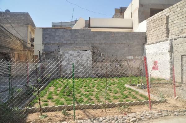 Mosul man turned his destroyed house into lawn