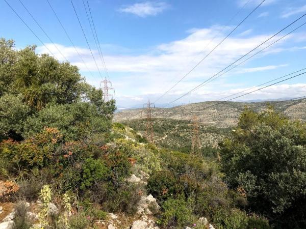 hiking on mount aigaleo in athens 