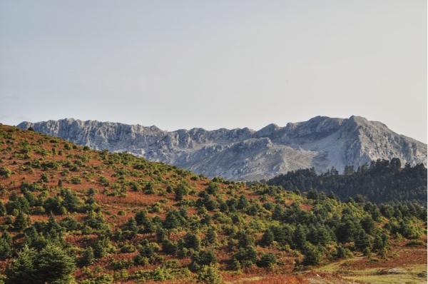 Majestic Mount Xirovouni seen from the foot of mount Dirfys evia island greece