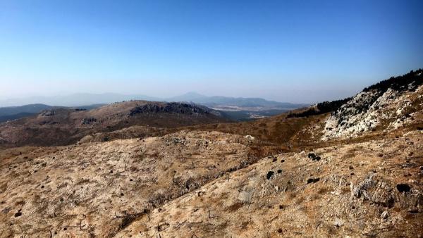 Burnt terrain on Mount Parnitha