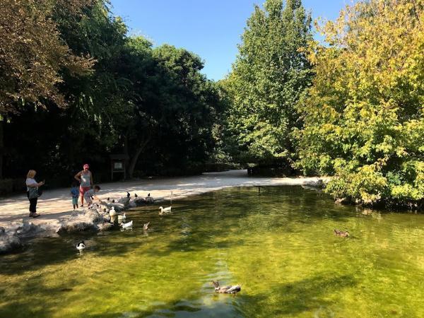 national garden athens feeding ducks