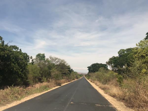 Driving through Zombitse-Vohibasia National Park madagascar