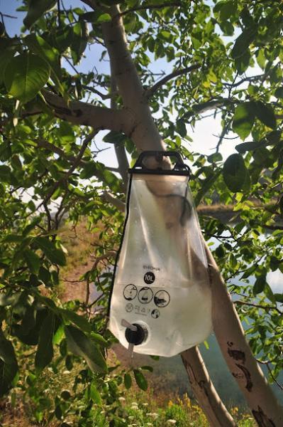 filled hiking water pouch hanging from tree