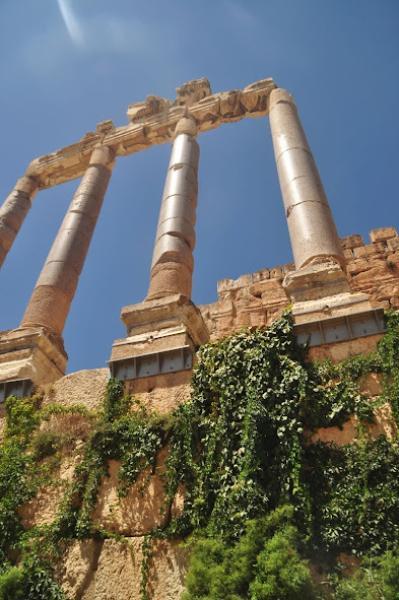 Ivy-covered glossy colonnades, baalbek archeological site, lebanon