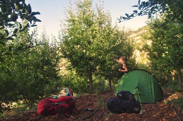 Camping in an orchard along the lebanon mountain trail