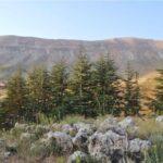 El Arz, Cedars of God: Trekking the Lebanon Mountain Trail