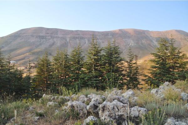 El Arz, Cedars of God: Trekking the Lebanon Mountain Trail