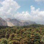 Tannourine Cedar Reserve: Trekking the Lebanon Mountain Trail