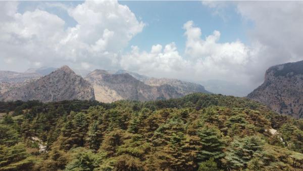 Tannourine Cedar Reserve: Trekking the Lebanon Mountain Trail
