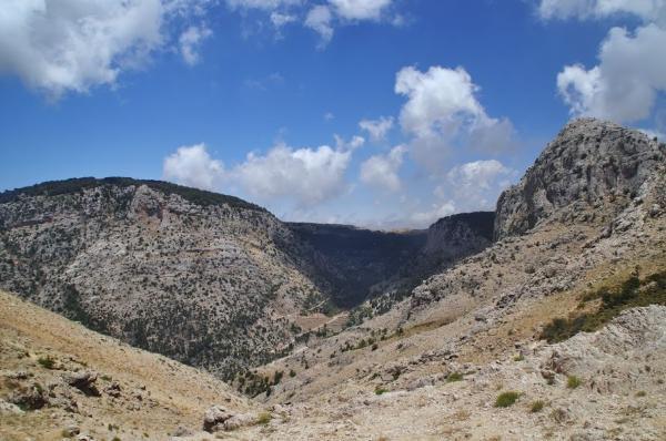 Lebanese wilderness, lebanon mountain trail