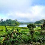 η λίμνη των κροκοδείλων στο εθνικό πάρκο cat tien του νότιου βιετνάμ