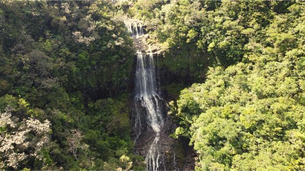 The western Alexandra Fall in mauritius by drone