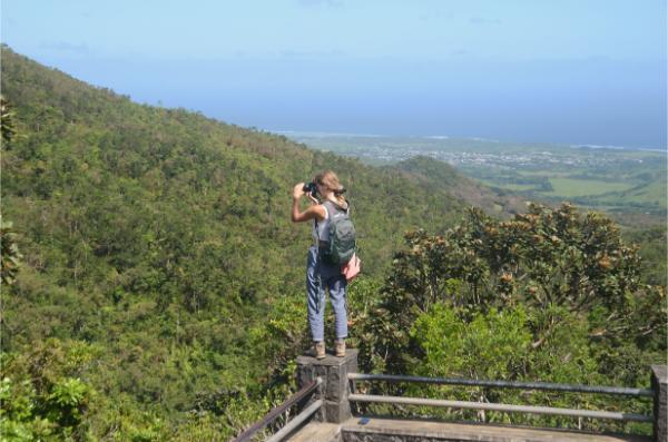 View of the sea from alexandra falls viewpoint, mauritius