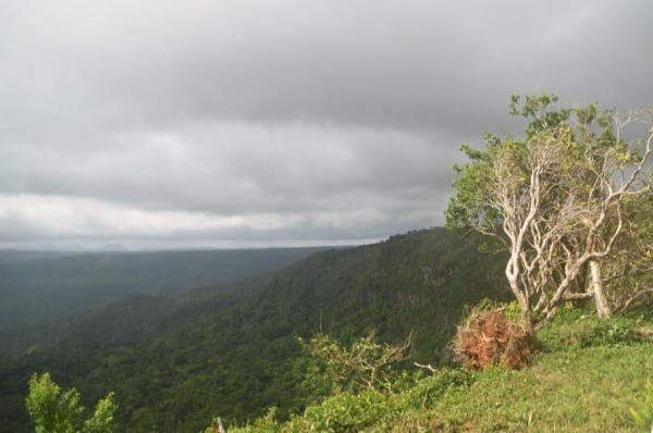 vista of black river gorges national park from main viewpoint