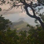 view from clearing while climbing black river peak in mauritius