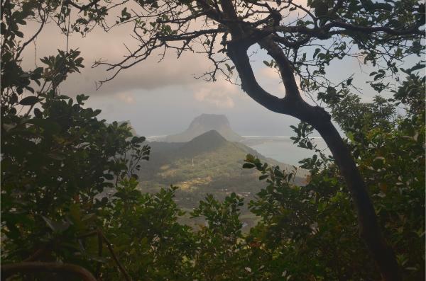 view from clearing while climbing black river peak in mauritius