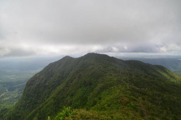 view from top of the black river peak, the highest mountain in mauritius