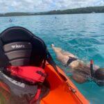 kayaking to blue bay from mahebourg in mauritius