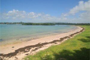 bras d'eau beach near bras d'eau national park in eastern mauritius