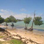 bras d'eau public beach in mauritius