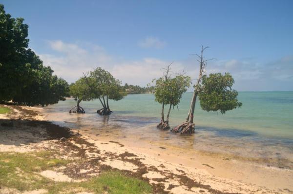 bras d'eau public beach in mauritius