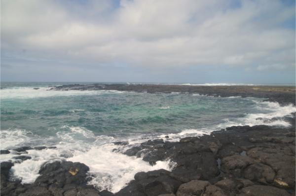 rugged coast and rough ocean in eastern mauritius