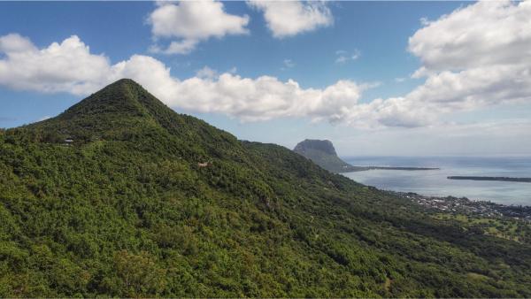 view from the road near chamarel, mauritius