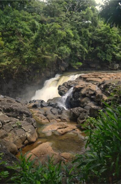 grand river south east, mauritius, powerful waterfall amid lush forest