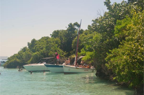 Boat tours for swimming by Ile aux Aigrettes in mauritius