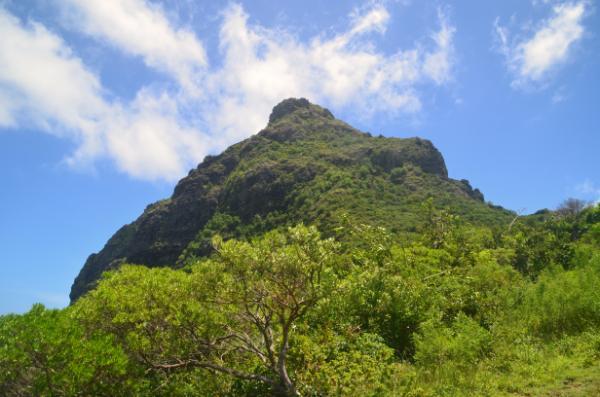 climbing le morne brabant mountain in mauritius