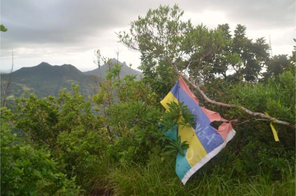 mauritian flag on the top of the lion mountain