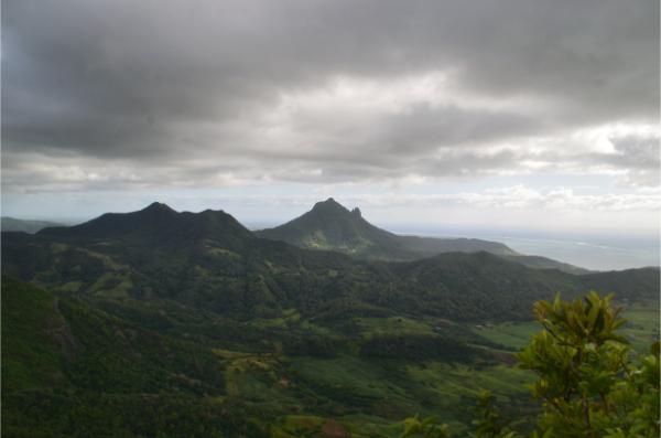 northern view from the top of lion mountain