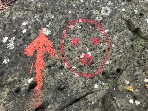 trail marks along the route to the top of lion head mountain, mauritius