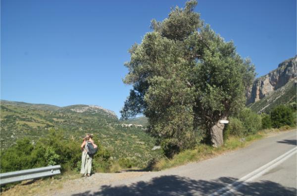 Αρχή μονοπατιού προς τον καταρράκτη μανικιάτη από ανατολή