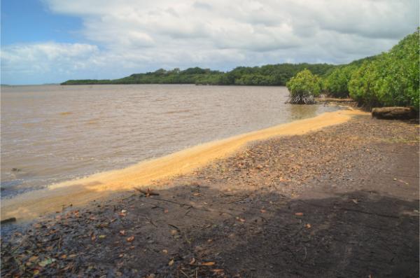 the site of the first human landing on mauritius island