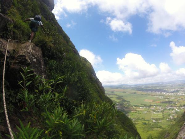 view from the upper slope of pieter both mountain