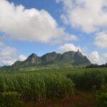 distant view of pieter both mountain in mauritius