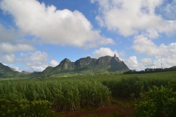 distant view of pieter both mountain in mauritius