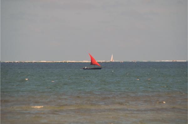 view of ocean and sailboats from pointe du diable in mauritius