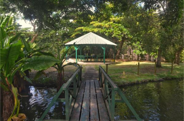 wooden bridge to Little kiosk on islet in the botanical garden of mauritius