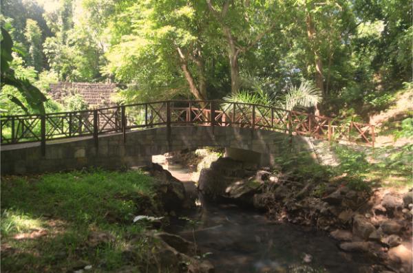 Rivier Citron and stone bridge in mauritius botanical garden