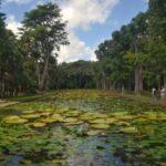 sir seewoosagur botanical garden in mauritius