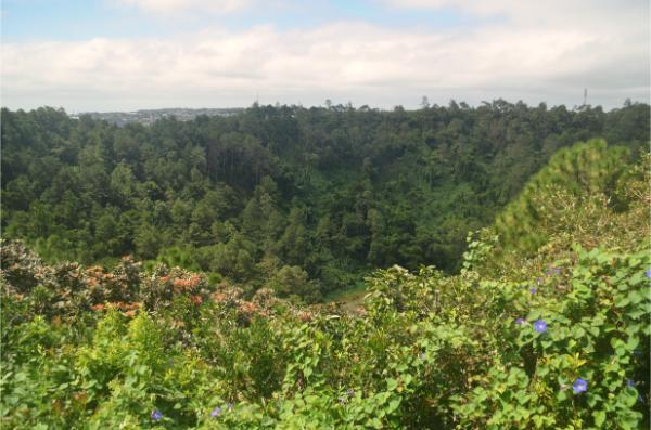 view of Lush Trou aux Cerfs crater near curepipe